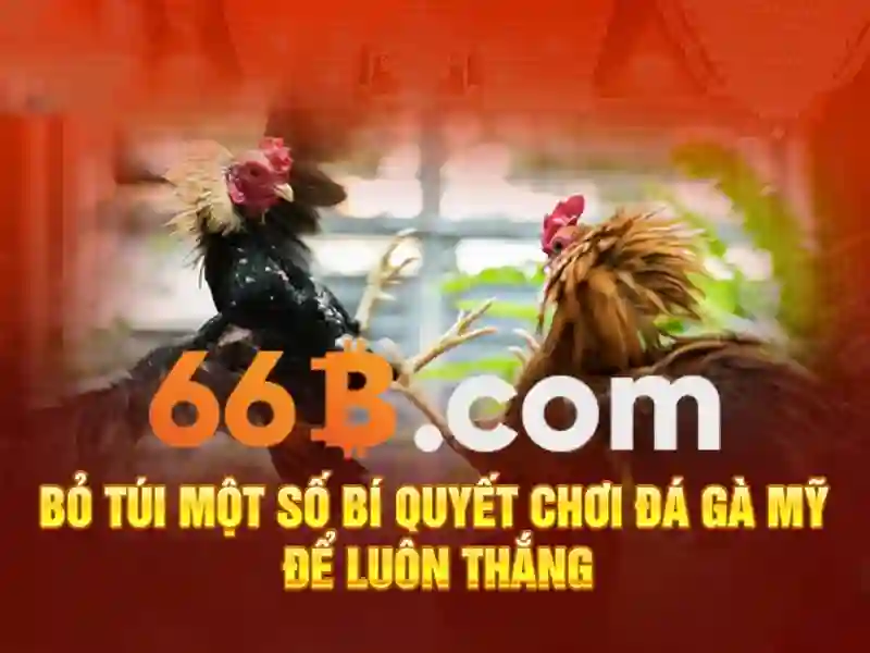 https://jcppfabric.com/images/text/66b/66b-text260305377.webp Đào tạo và dữ liệu
