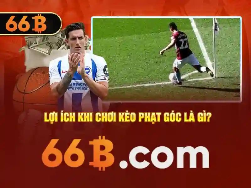 Giới thiệu về 66b
