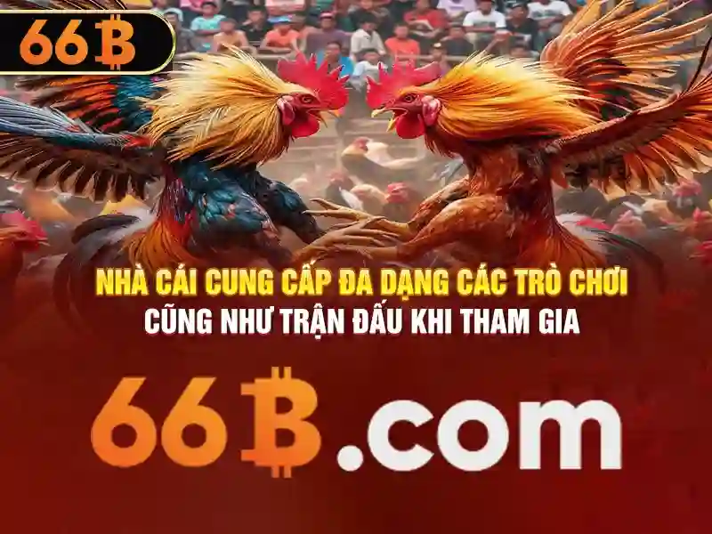 sứ mệnh của đăng xuất 66b