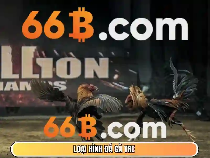 casino 66b – Tổng quan chủ đề và giá trị cốt lõi