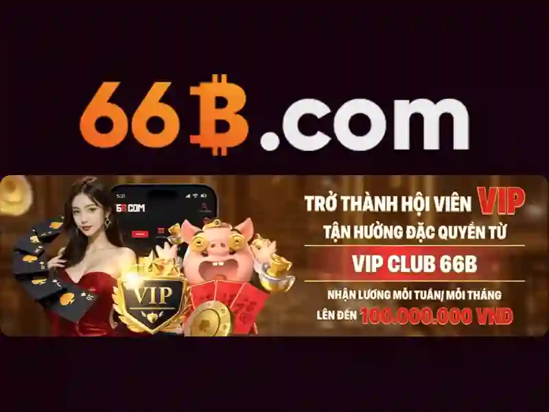 66b: một khái niệm mới trong thế giới số