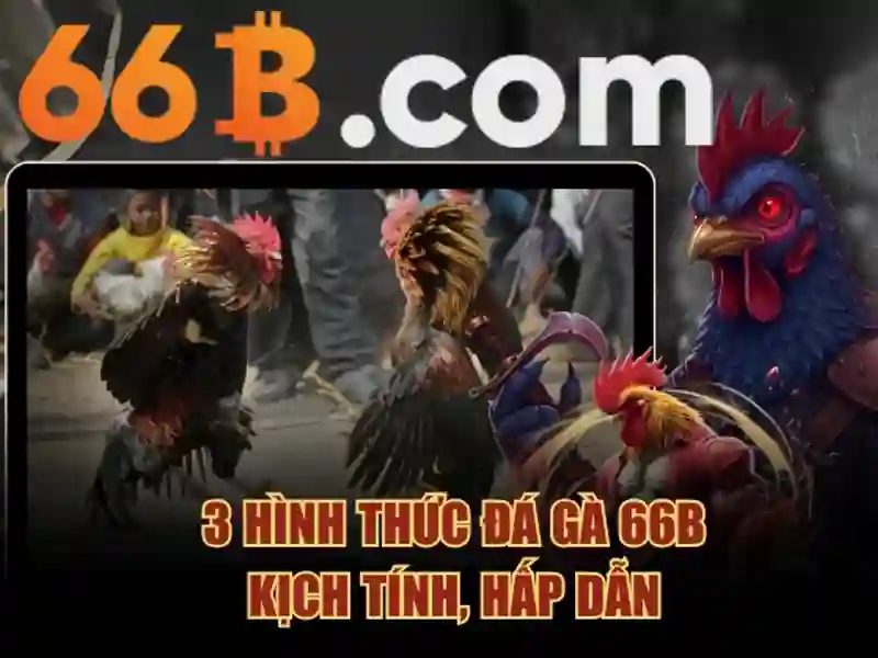 66b: Khái niệm và ứng dụng trong dữ liệu hiện đại