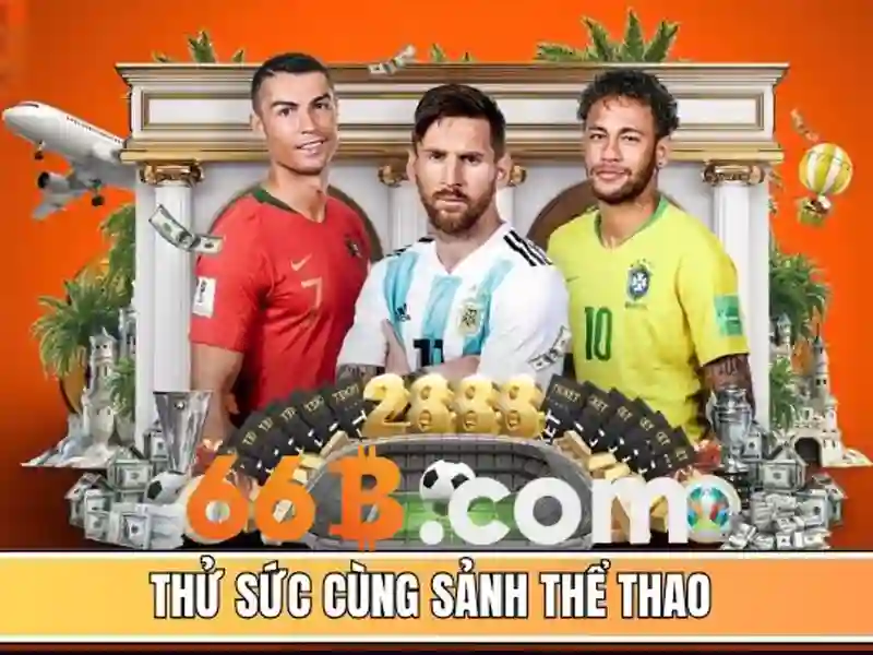 Trải nghiệm người dùng và phản hồi cộng đồng