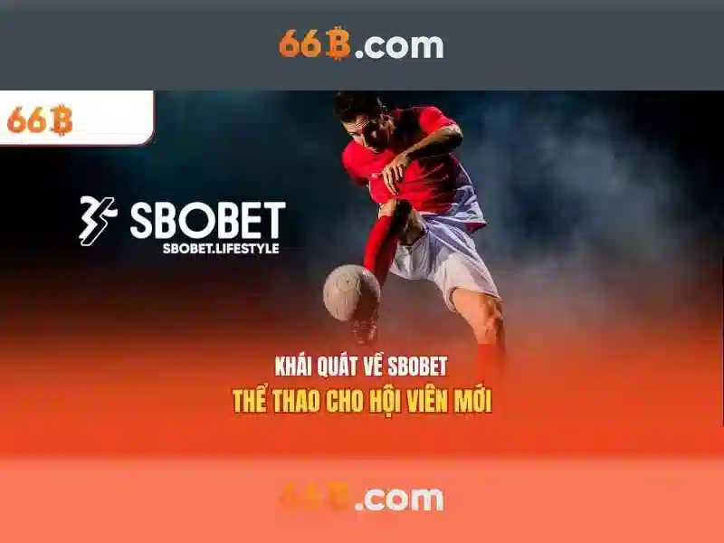 Khám phá 66b: một khái niệm về quy mô dữ liệu và công nghệ số