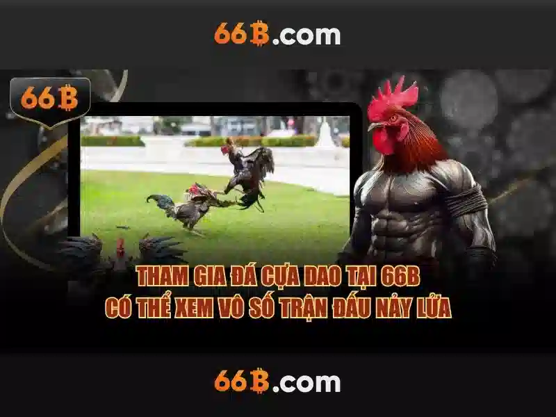 Khái niệm về 66b