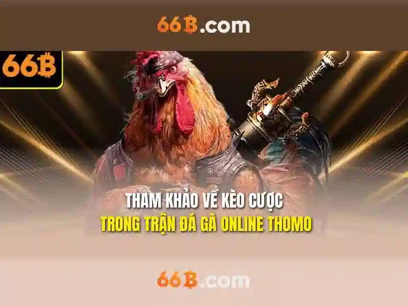 Giao diện nhà cái hoàn hảo