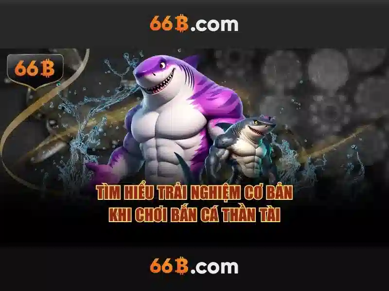 Giao diện nhà cái hoàn hảo