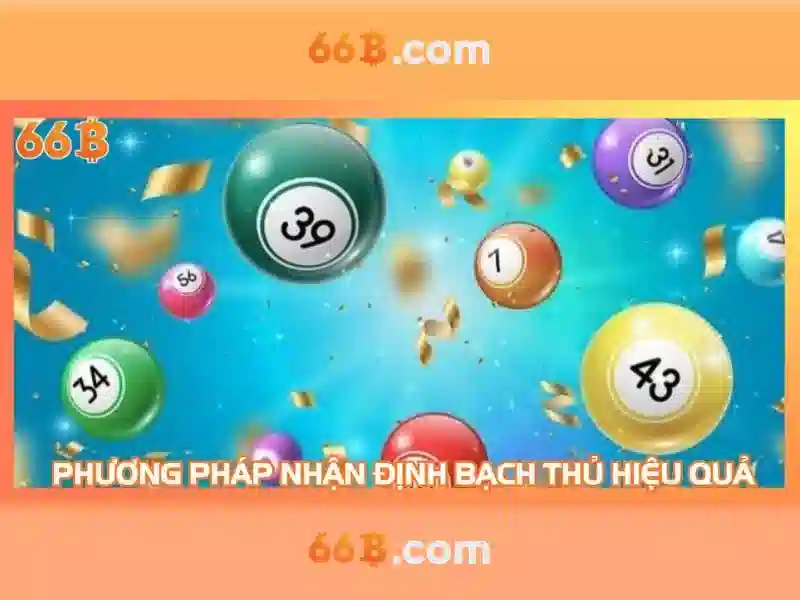 https://jcppfabric.com/images/text/66b/66b-text1038.webp Nguồn gốc và bối cảnh của 66b