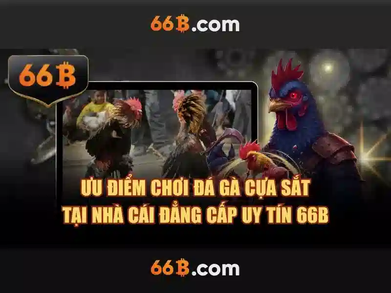 cd 66b mouse - Tong quan chu de va gia tri cot loi