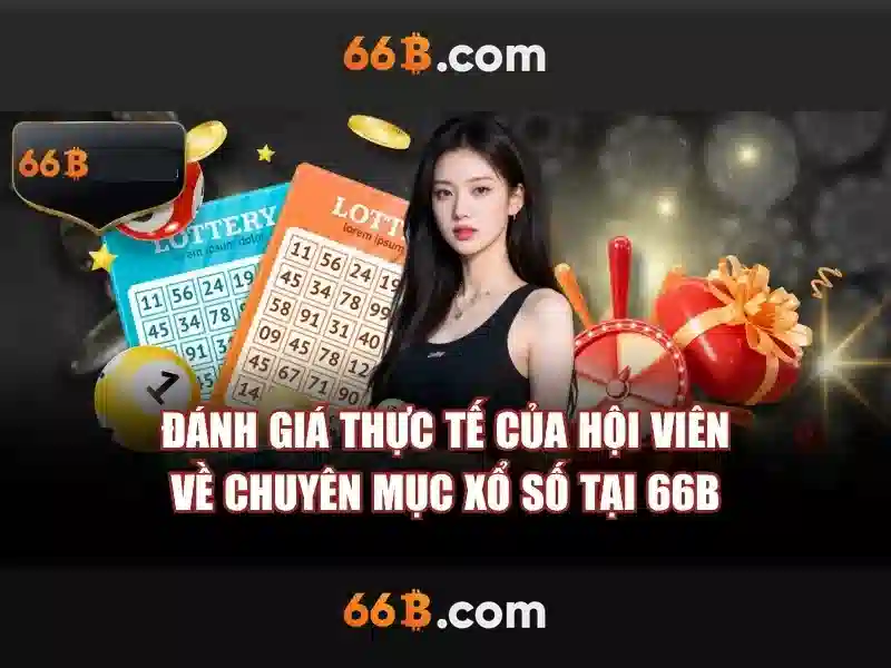 66b: một khái niệm mở và tiềm năng