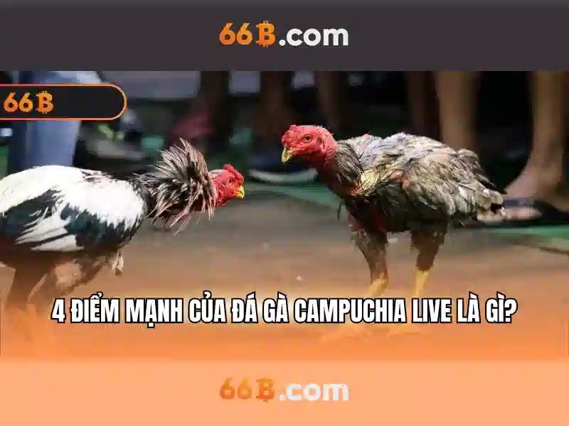 Nguồn gốc và sứ mệnh của 66b phiên bản mới