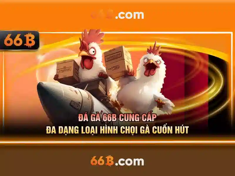 66b trong toán học và khoa học máy tính