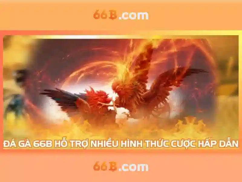 Giao diện nhà cái hoàn hảo
