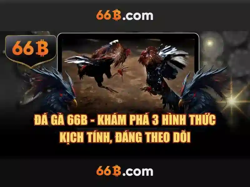 66b hoàn tiền – Trải nghiệm tuyệt vời và giá trị thực Giao diện nhà cái hoàn hảo