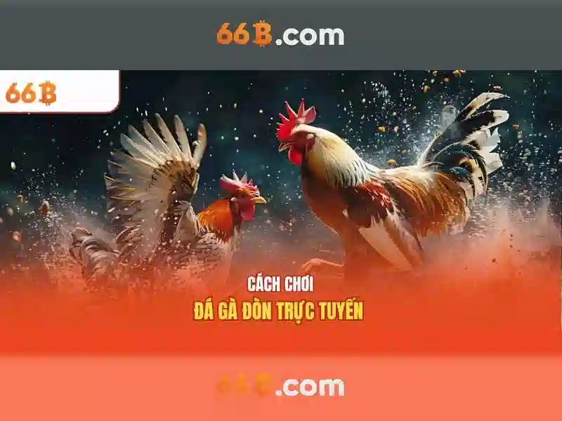 Hiệu năng và ứng dụng