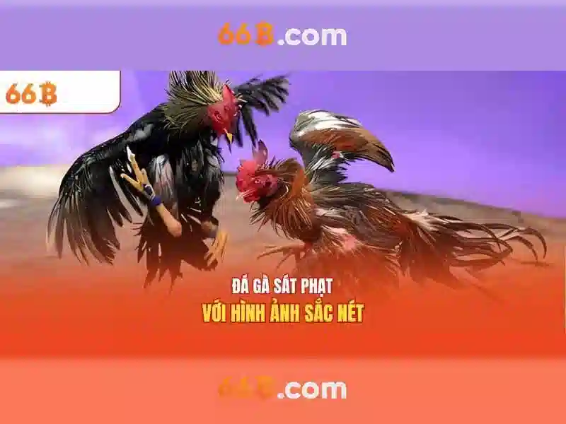 66b: một cái nhìn tổng quan về mô hình ngôn ngữ lớn Giao diện nhà cái hoàn hảo