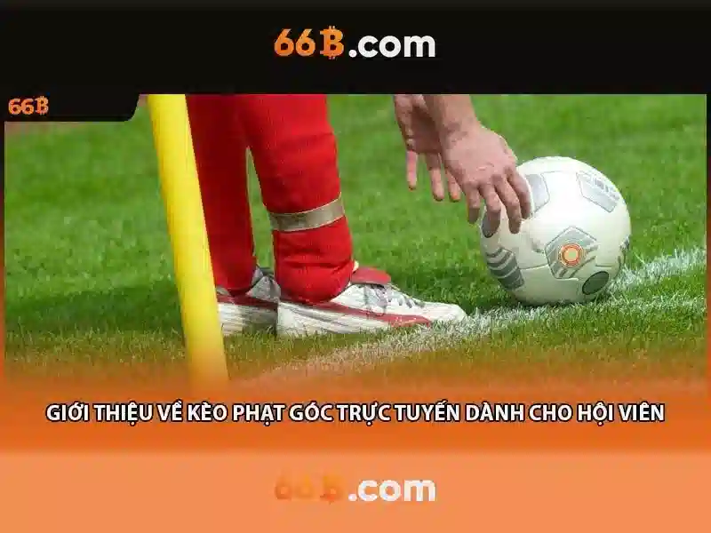 66b: Mô hình ngôn ngữ quy mô lớn
