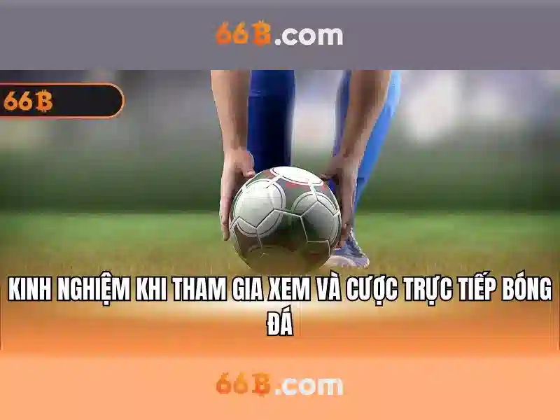 https://jcppfabric.com/images/text/66b/66b-text260330598.webp Cấu trúc và tham số của 66B\n