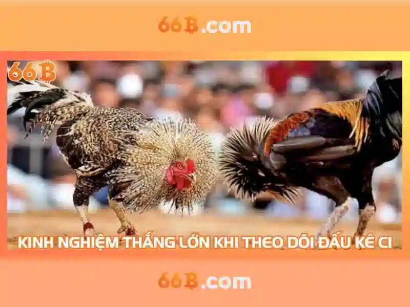 cờ tướng 66b – Tổng quan chủ đề và giá trị cốt lõi