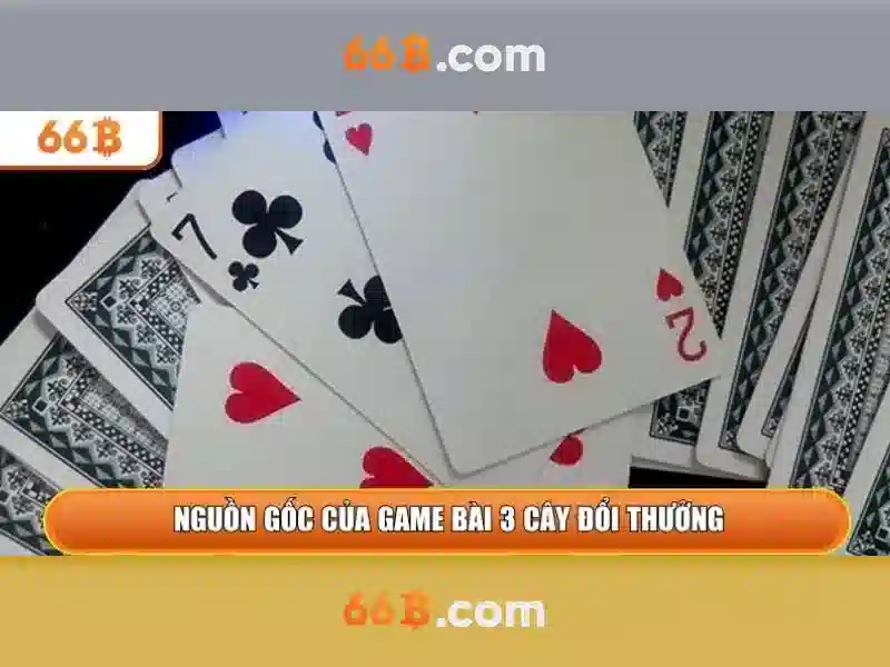 Cận cảnh chiến kê được trang bị cựa sắt trước giờ thi đấu tại sảnh 66b