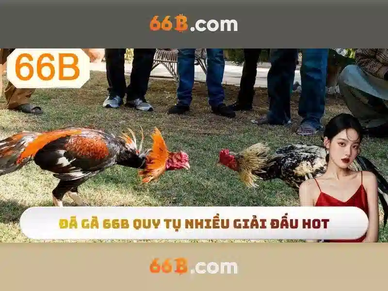 66B: Hiểu về mô hình ngôn ngữ 66 tỷ tham số