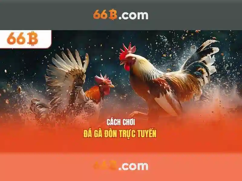 https://jcppfabric.com/images/text/66b/66b-text26033015.webp Đào tạo và dữ liệu