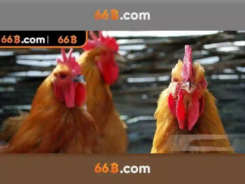 66b: một mô hình ngôn ngữ quy mô lớn