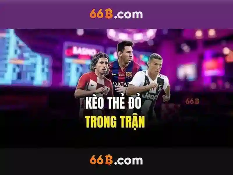 Mô hình 66B: tổng quan, cấu trúc và ứng dụng