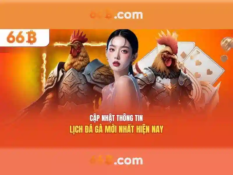 66B là gì?