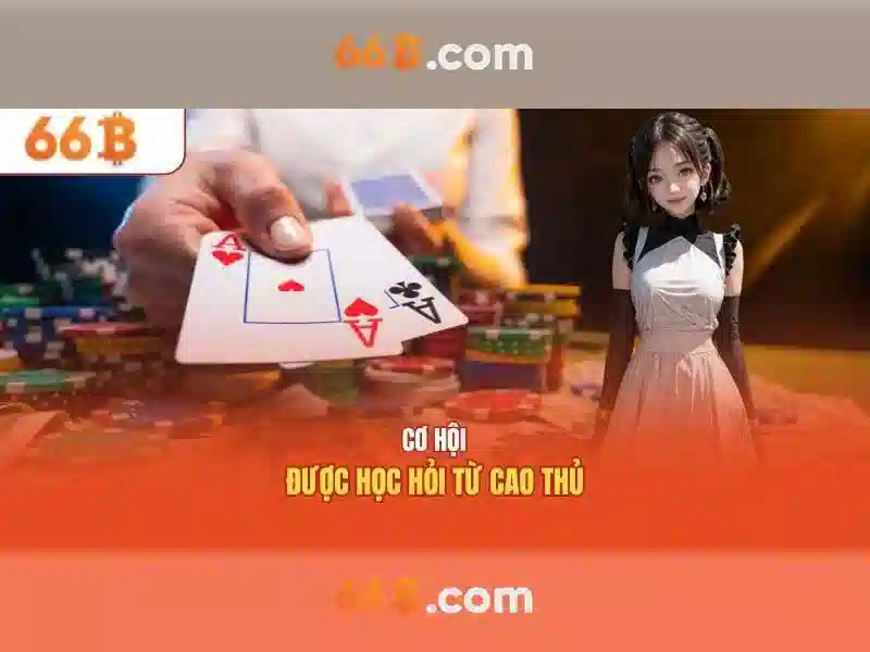 https://jcppfabric.com/images/text/66b/66b-text250.webp Giới thiệu về 66B