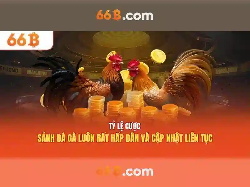 66b apk - Trải nghiệm tối ưu cho game 66b và 66b web