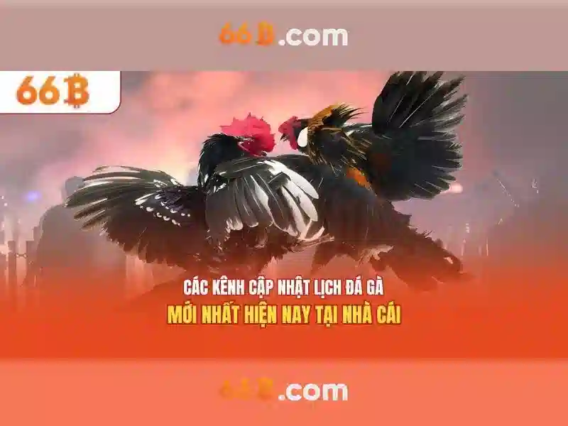 Ứng dụng và thách thức