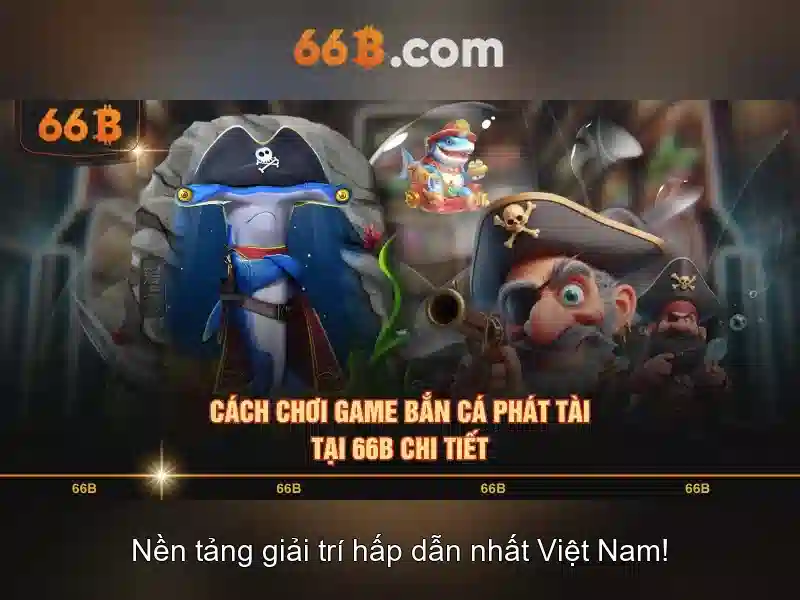 66b: một khái niệm và những điều cần biết