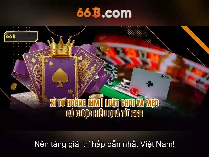 66B: Khái niệm, nguồn gốc và tầm ảnh hưởng