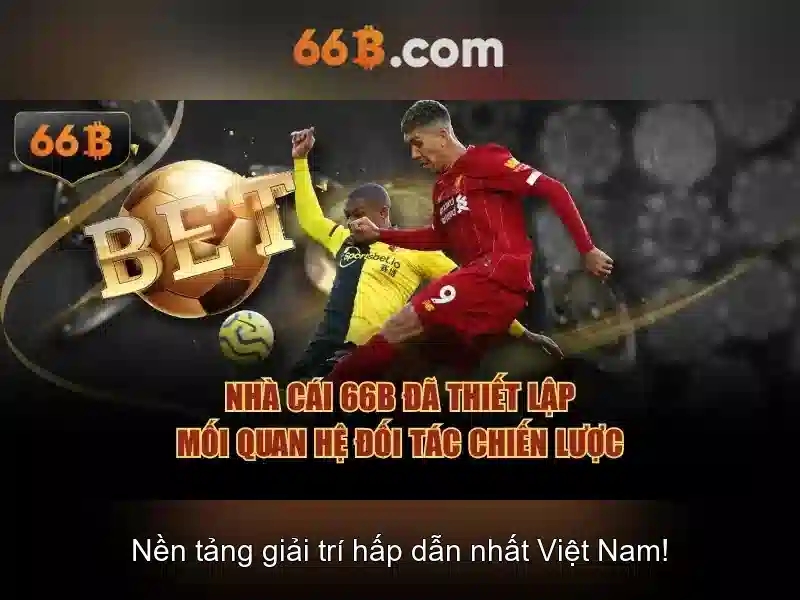 66B là gì và tại sao lại quan trọng