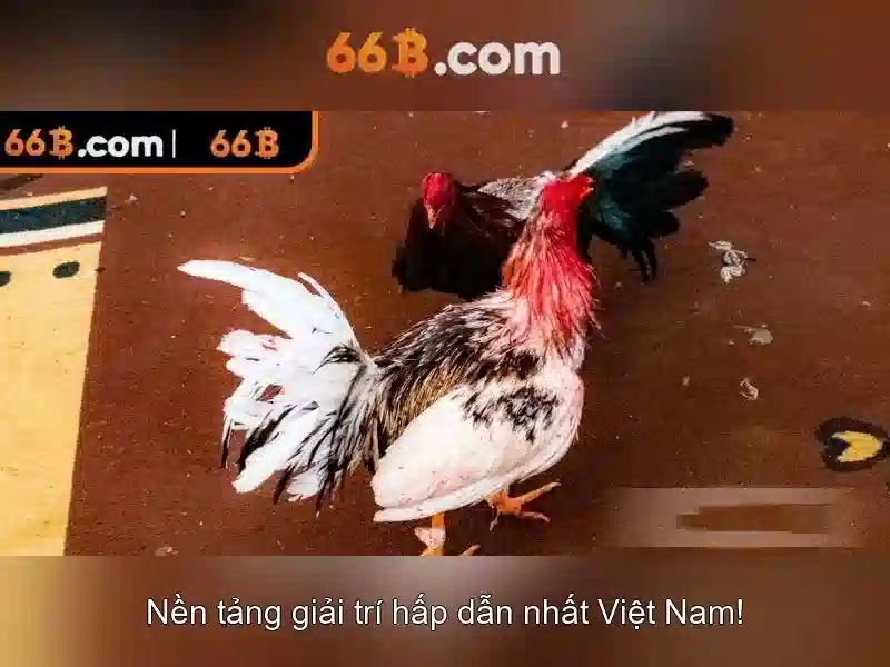 https://jcppfabric.com/images/text/66b/66b-text26033025.webp Hiệu suất trên nhiều tác vụ và nguồn lực cần thiết