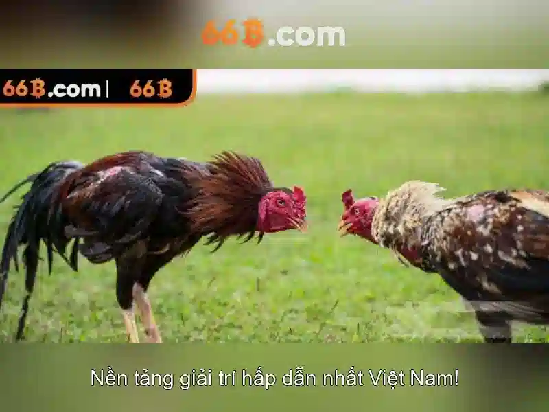 https://jcppfabric.com/images/text/66b/66b-text2603311836.webp Kiến trúc và khả năng của 66B