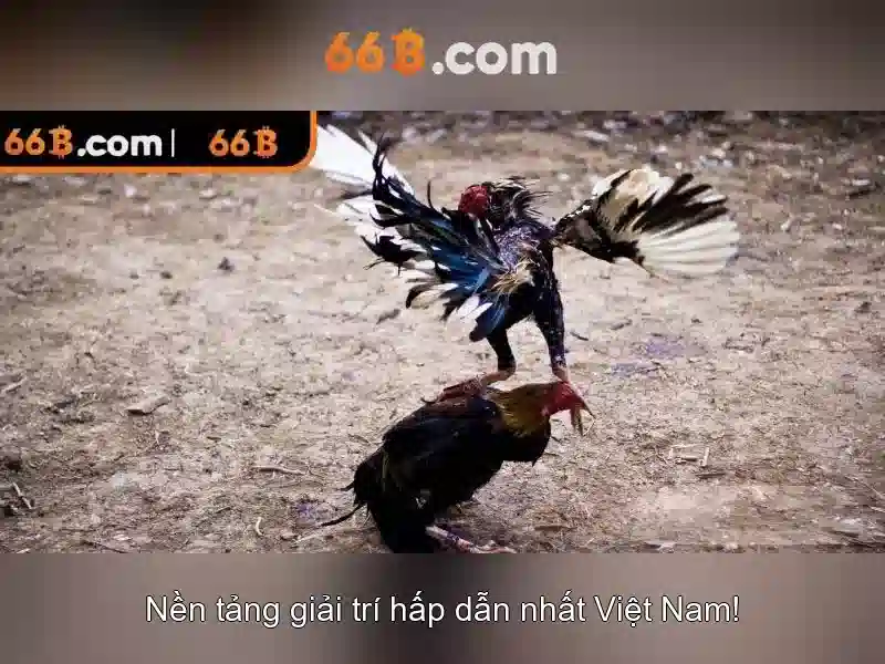 64b/66b encoding: Đổi mới kết nối mạng và dịch vụ