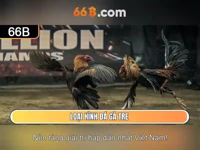 Những khía cạnh thú vị khác