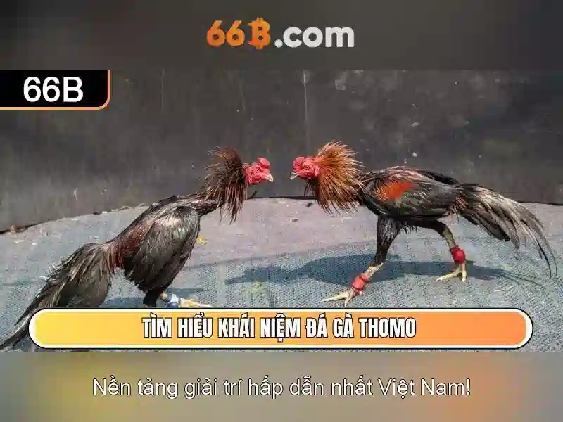 Ứng dụng của 66b