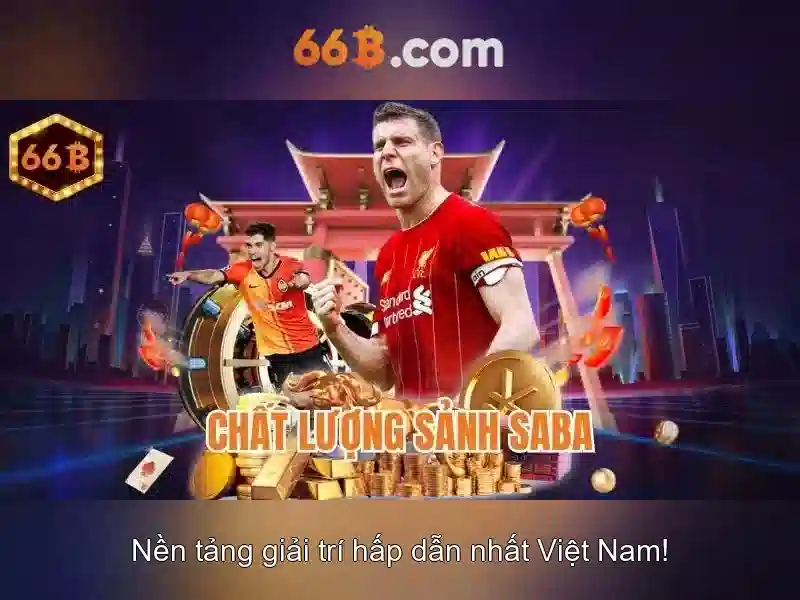 66B là gì