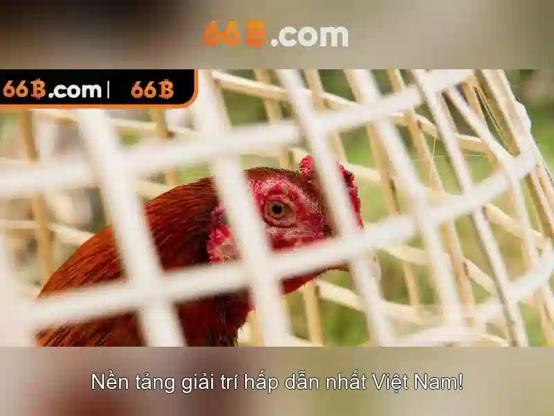 66b: Tổng quan về một mô hình ngôn ngữ lớn Giao diện nhà cái hoàn hảo