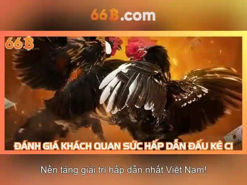 Ứng dụng tiềm năng\n\n