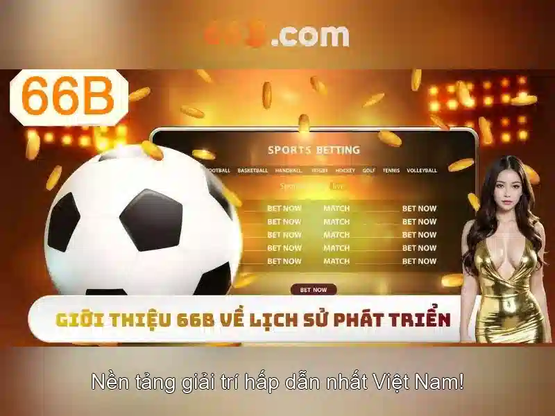https://jcppfabric.com/images/text/66b/66b-text260330197.webp Giới thiệu về 66B