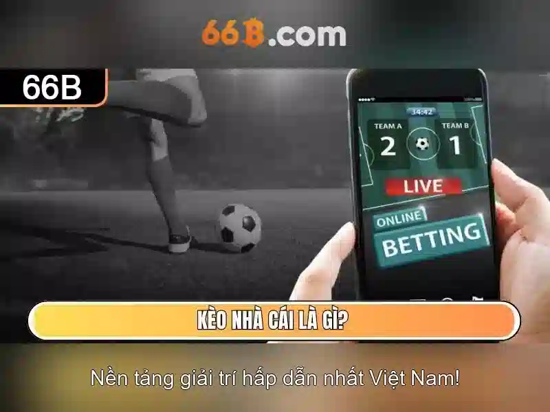 Kiến trúc và quy mô