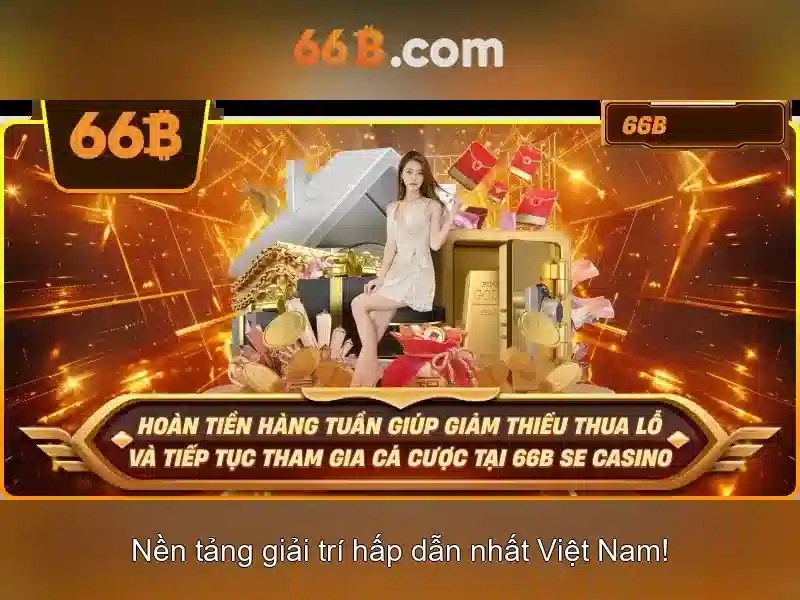 Giới thiệu về 66B