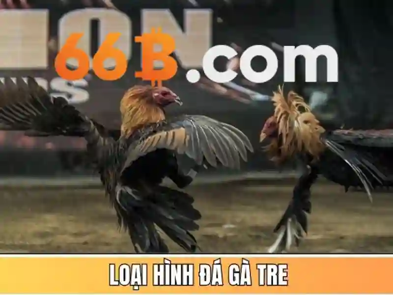 https://jcppfabric.com/images/text/66b/66b-text2603051331.webp Ứng dụng phổ biến của 66B