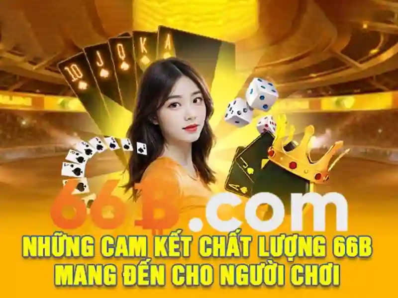 66B: Khái niệm, ứng dụng và ý nghĩa