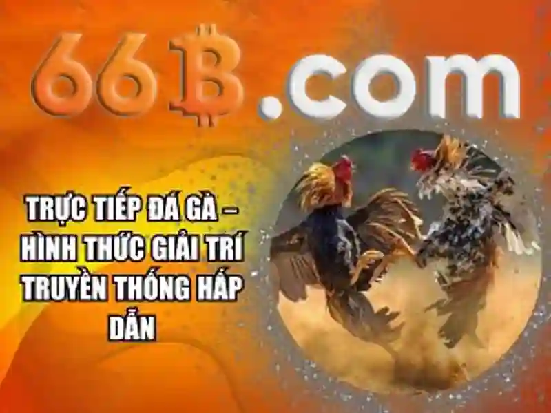https://jcppfabric.com/images/text/66b/66b-text702.webp Nguồn gốc và ý nghĩa của 66b