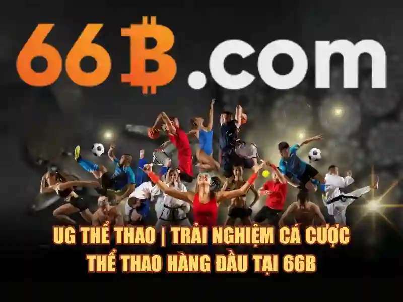 66B là gì và tại sao nó quan trọng